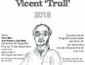 IV Premi Vicent Trull