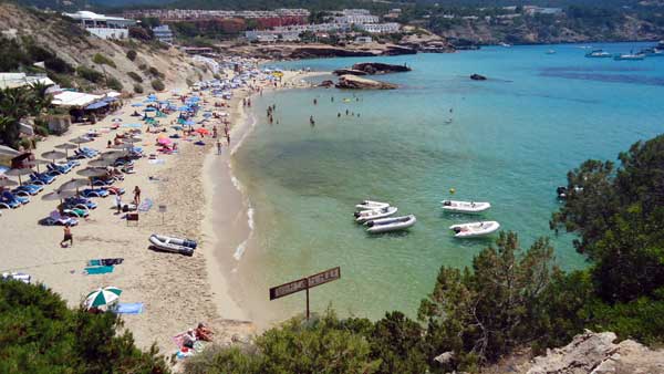 Exemple de proliferació d'algues a Cala Tarida