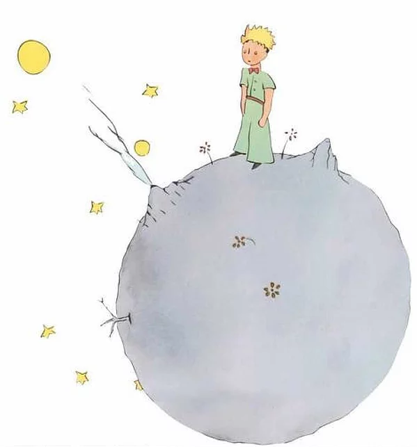 Resultado de imagen de el petit princep