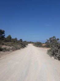 condicionament camí sal rossa 1