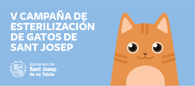 gatos_santjosep